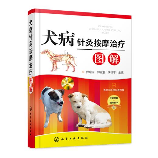 犬病针灸按摩氵台疗图解 商品图0