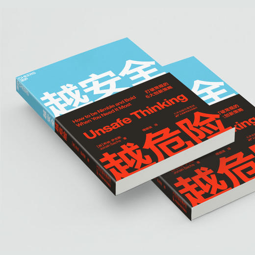 湛庐┃越安全越危险 商品图3