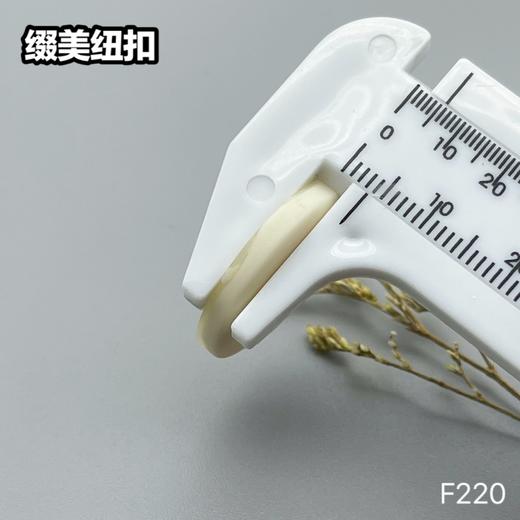 F220(整包购买) 商品图12