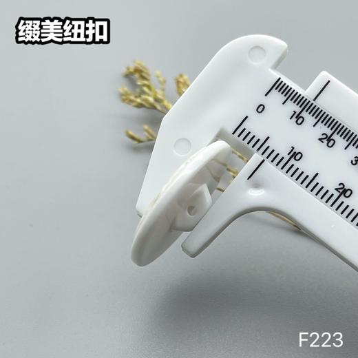 F223(整包购买) 商品图9