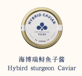 YUZI海博瑞鲟鱼子酱