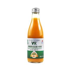 V9沙棘绿色生态果汁饮料