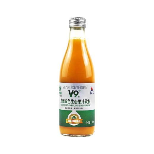 V9沙棘绿色生态果汁饮料 商品图0