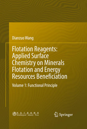 Flotation Reagents: Applied Surface Chemistry on Minerals Flotation and Energy