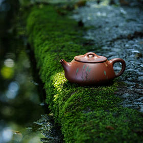 宜兴龙德堂陶艺 汤宣武 《令瓢之小满》 原矿底槽清 220  cc