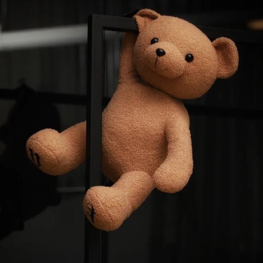 价值2000+ 出口海外 意式潮流！断头熊palm angels潮流街头风玩具熊毛绒玩具 可爱又限量 居家摆设工艺玩偶 送孩子/送朋友/送女友/送家人/节日礼物！预售 商品图3