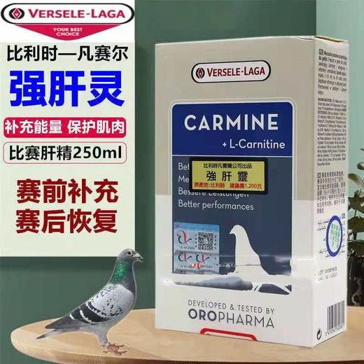 【强肝灵】补能量/强肝脏/缓疲劳/肝精（凡赛尔） 商品图0