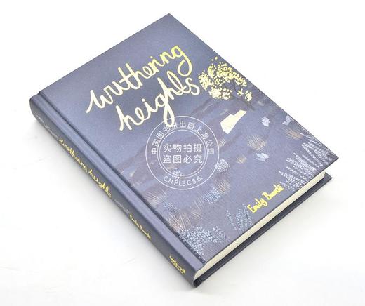 现货 呼啸山庄 英文原版小说 英文版 Wuthering Heights 勃朗特 世界经典文学 爱情小说 wordsworth精装收藏版 商品图1