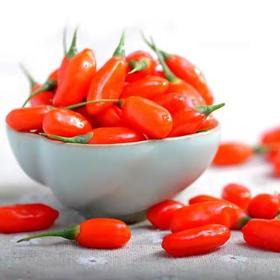 头茬鲜枸杞 一年品一次 宁夏外运甄选鲜枸杞 鲜甜 500g