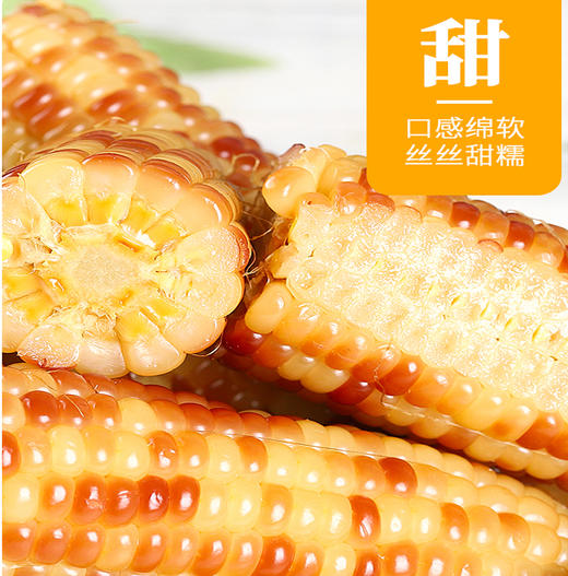 东北营养甜糯玉米200g*16 商品图0