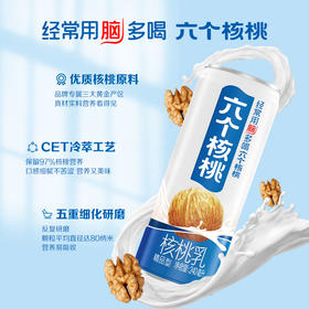 六个核桃240ml*20罐 无糖型 植物蛋白饮料 整箱 养元核桃奶 新老包装随机发货 非牛奶