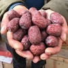 带土特级若羌枣  新疆特产坚果休闲零食 商品缩略图0