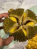 马来西亚“液氮”D197猫山王Musang King榴莲——，口感细腻如吃冰淇淋 商品缩略图9