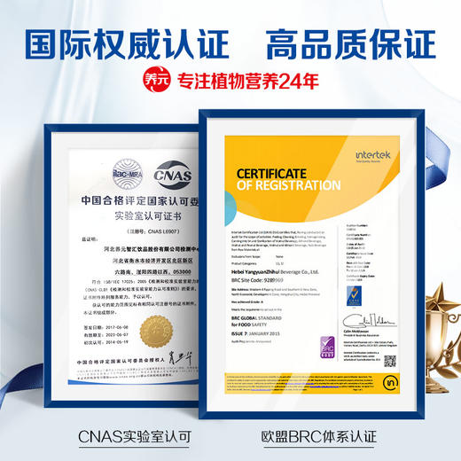 六个核桃240ml*20罐 无糖型 植物蛋白饮料 整箱 养元核桃奶 新老包装随机发货 非牛奶 商品图2