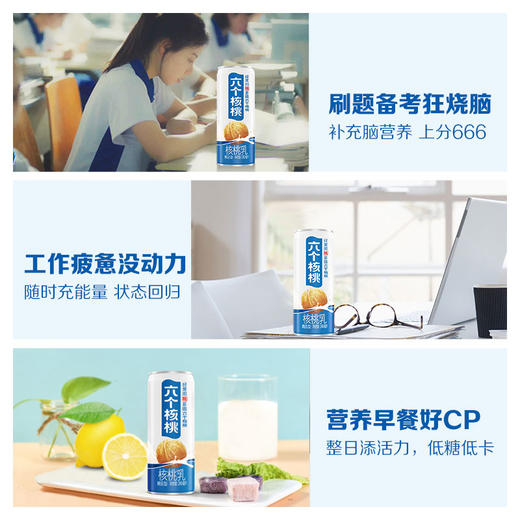 六个核桃240ml*20罐 无糖型 植物蛋白饮料 整箱 养元核桃奶 新老包装随机发货 非牛奶 商品图1