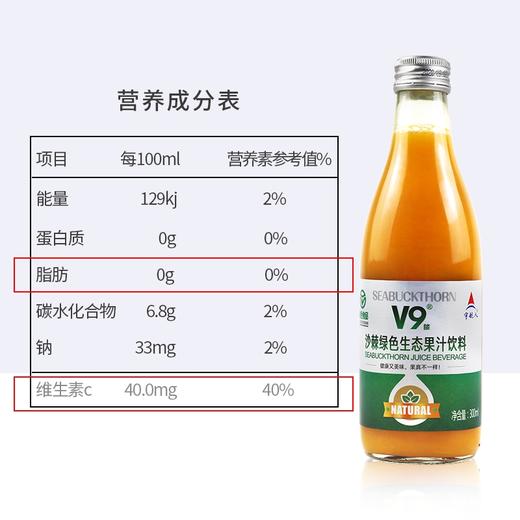 V9沙棘绿色生态果汁饮料 商品图1