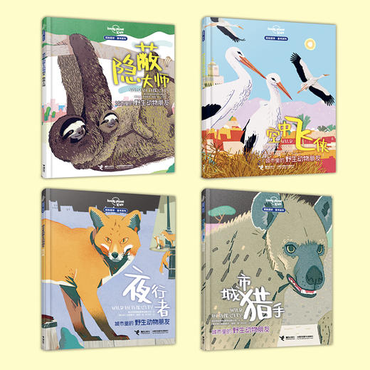城市里的野生动物朋友（全4册） 商品图4