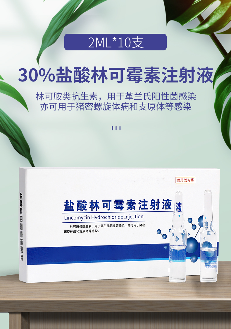 买3送130盐酸林可霉素注射液10支高烧咳嗽肠炎猪牛羊药华畜
