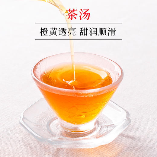 文新信阳红茶经典畅销正红礼盒240g 商品图2