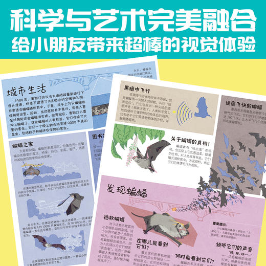 城市里的野生动物朋友（全4册） 商品图2