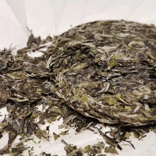 中茶ZBF-201211金中茶福建福鼎白茶白牡丹白茶紧压茶饼357g 商品图1