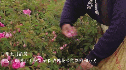 这样的爽肤水才是油痘肌想要的！