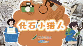 【重庆】重庆自然博物馆--化石小猎人