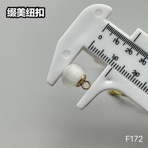 F172(整包购买) 商品图5