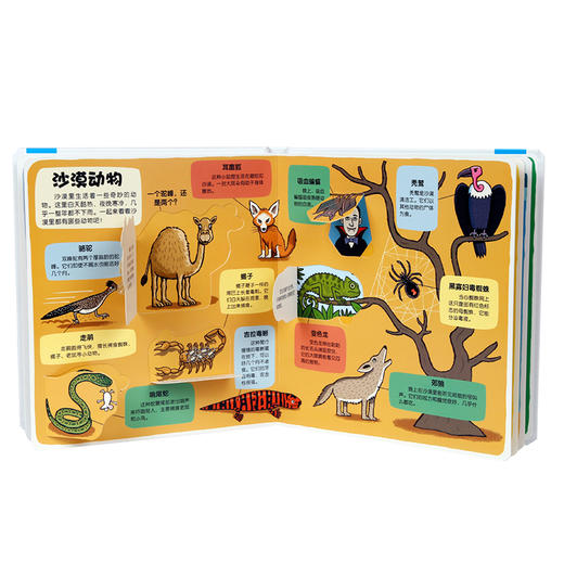 乐乐趣科普翻翻书 小小探险家 第一辑+第二辑（共4册） 商品图1