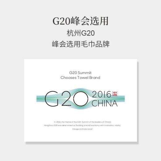 【谢博士推荐】长绒棉毛巾 | 新疆长绒棉， 3s吸水 商品图2