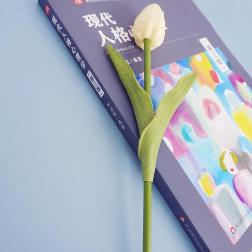 现代人格心理学 第三版 高等学校心理学专业课教材 国内外新研究成果 积极心理 情绪智力 心理测试专章 商品图2