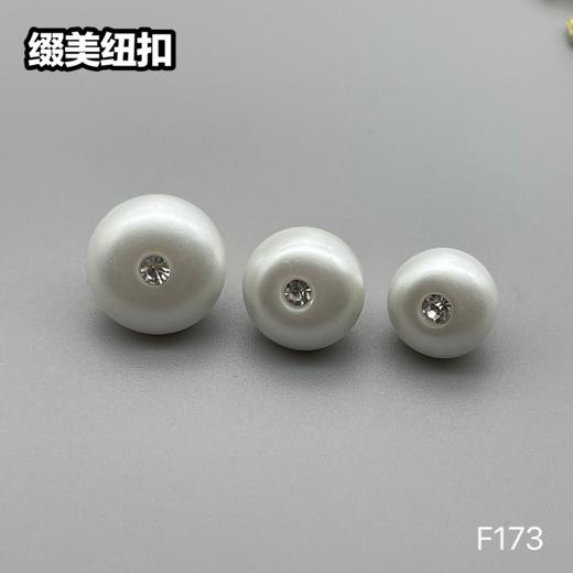 F173(整包购买) 商品图2