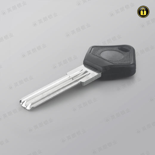 〖2133〗长4代王力 商品图1