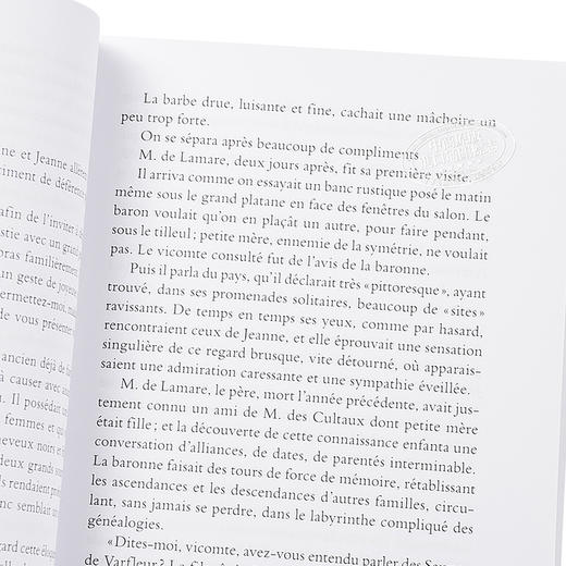 【中商原版】【法国法文版】莫泊桑：一生 法文原版 Une vie 法文文学 商品图3