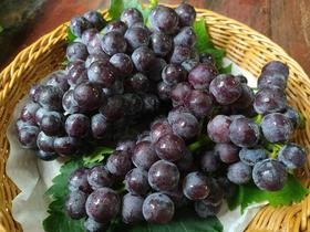 【基地特供】红富士葡萄 约500克