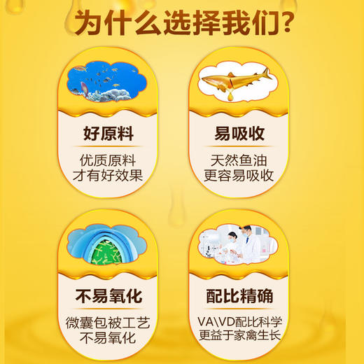 【鱼肝油】鸡鸭个鹅鸽禽用禽药家禽修复粘膜.促进康复.修复骨骼.抗应激增加蛋重100g/袋 商品图2