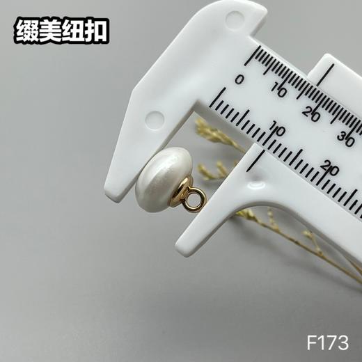F173(整包购买) 商品图5