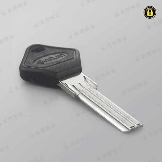 〖2133〗长4代王力 商品图2