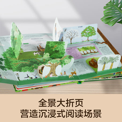 【常青藤爸爸】乐乐趣揭秘翻翻书系列第六辑（共4册） 商品图2