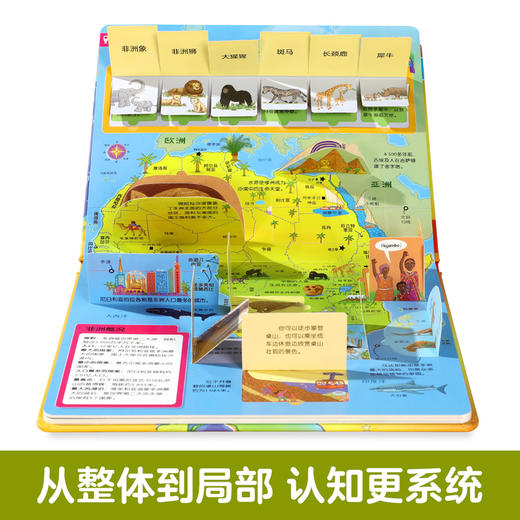 【常青藤爸爸】乐乐趣揭秘翻翻书低幼版第三辑（共4册） 商品图3