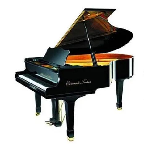 卡文迪 C系列C150三角钢琴 商品图0