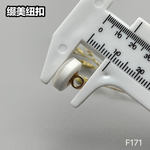 F171(整包购买) 商品图9