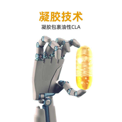 Cla燃烧弹  诺特兰德  CLA胶囊健身运动控体塑型 商品图3