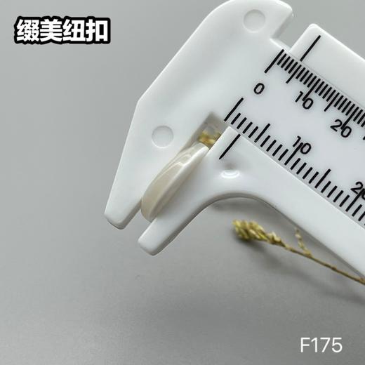 F175(整包购买) 商品图6