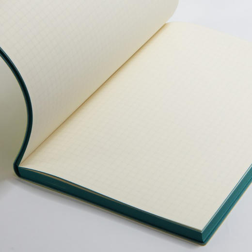 Daycraft旗舰方格笔记本A5N75 商品图5