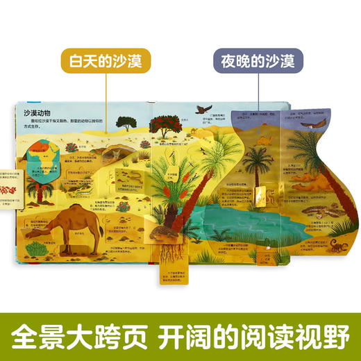 【常青藤爸爸】乐乐趣揭秘翻翻书低幼版第三辑（共4册） 商品图4