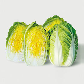 [庭院种子] 娃娃菜种子 "小宝"