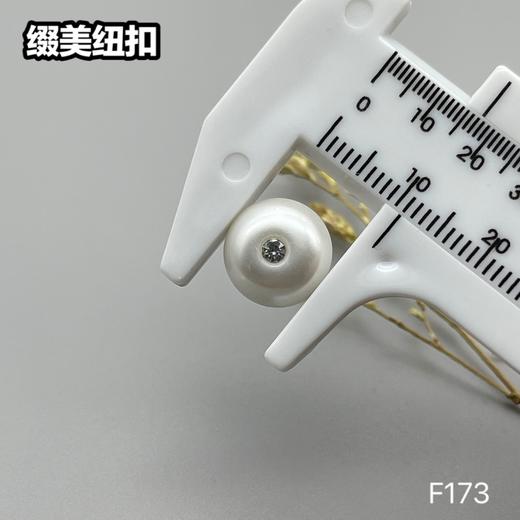 F173(整包购买) 商品图4