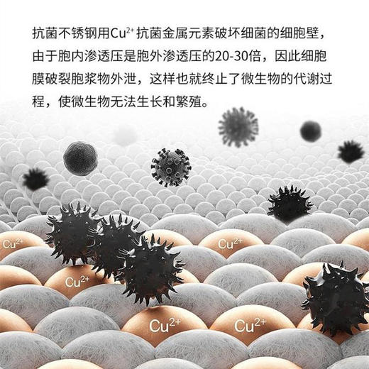 自留！康巴赫双面抗菌砧板不锈钢+谷纤维加大号 商品图7