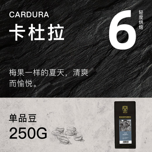 手冲单品豆/卡杜拉咖啡豆250g爱伲庄园有机咖啡/可代磨咖啡粉雨林认证  商品图0
